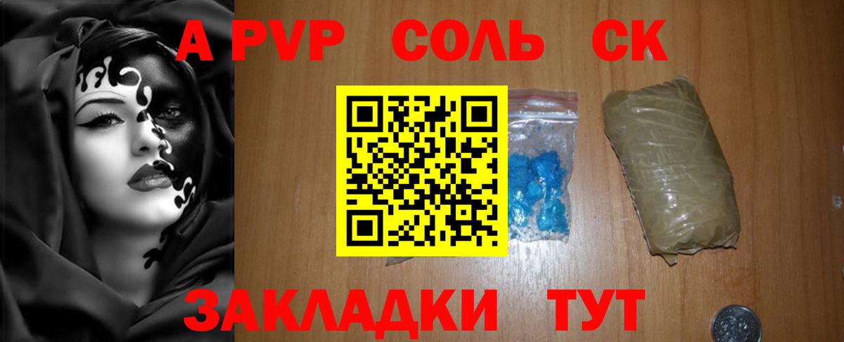 Альфа ПВП СК КРИС Геленджик