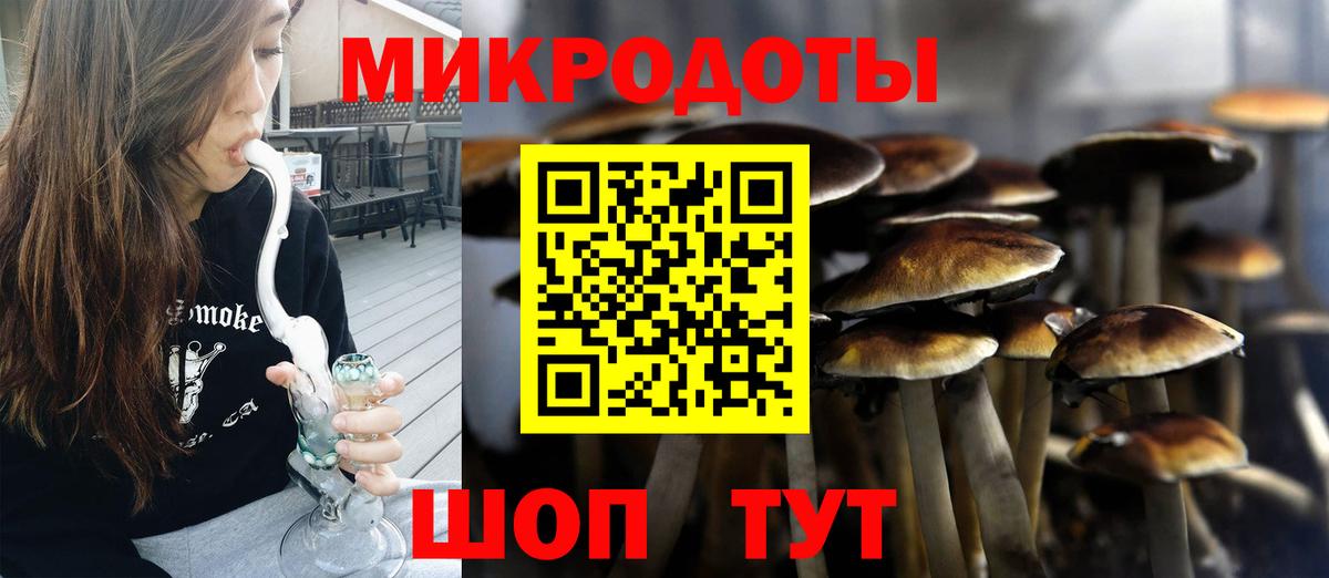Псилоцибиновые грибы Psilocybine cubensis Геленджик