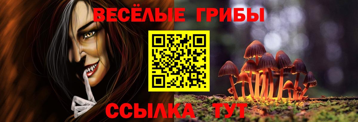 Геленджик  Псилоцибиновые грибы MAGIC MUSHROOMS  Вход с VPN 
